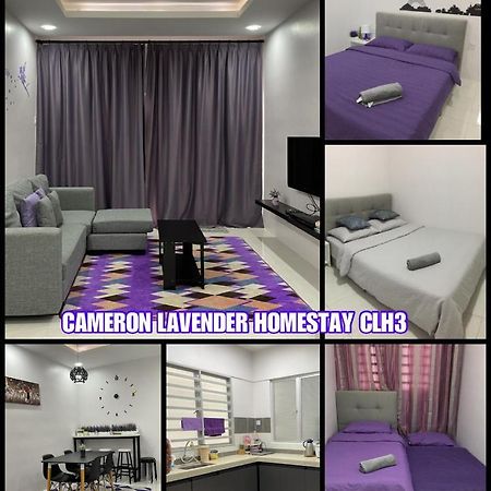 Cameron Lavender Homestay 3 Tanah Rata Exterior photo